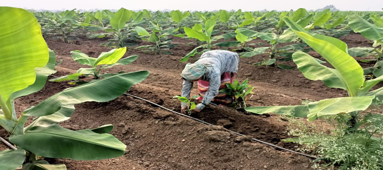 Mrs. Mrinalini Abhijit Pawar