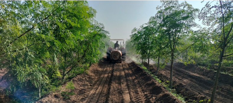 श्री. जयदिप दिलिप माने