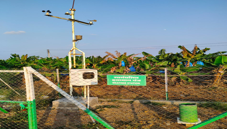 श्रीमती मृणालिनी अभिजीत पवार