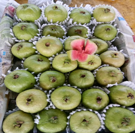 श्री. रविकांत भिष्माचार्य नाईकनवरे