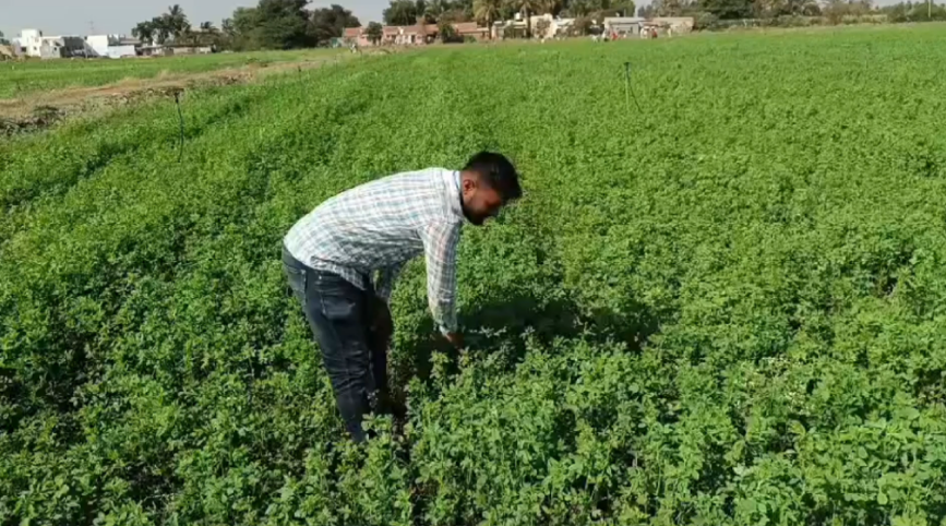 श्री. नाथा पंडित राऊत